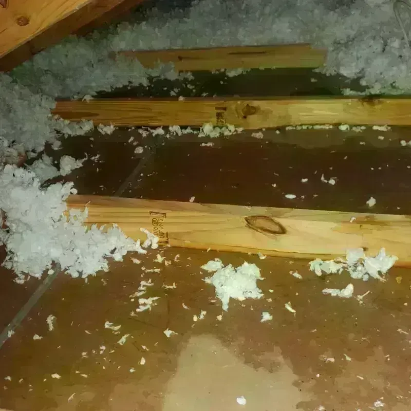 Attic Water Damage in Prairie du Chien, WI