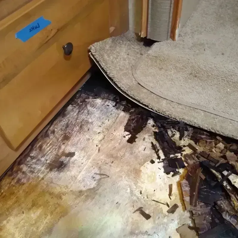 Best Wood Floor Water Damage Service in Prairie du Chien, WI